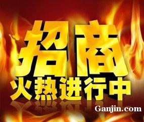 海南菩提自贸商城招商 商务代理代办服务的机遇与价值